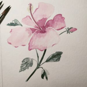 Flor del Pacífico