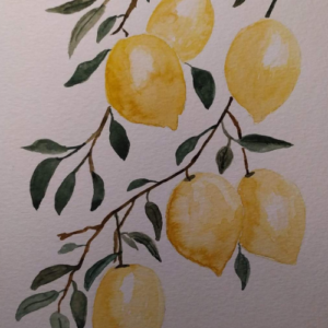 Limonero