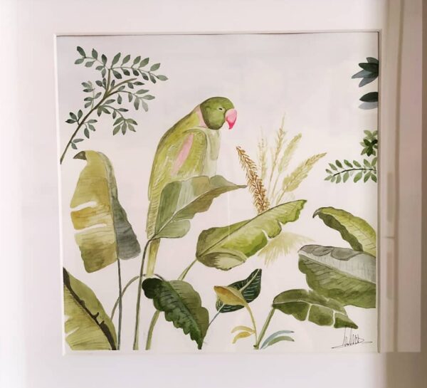 Paisajes tropicales