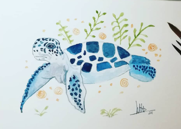 Tortuga marina